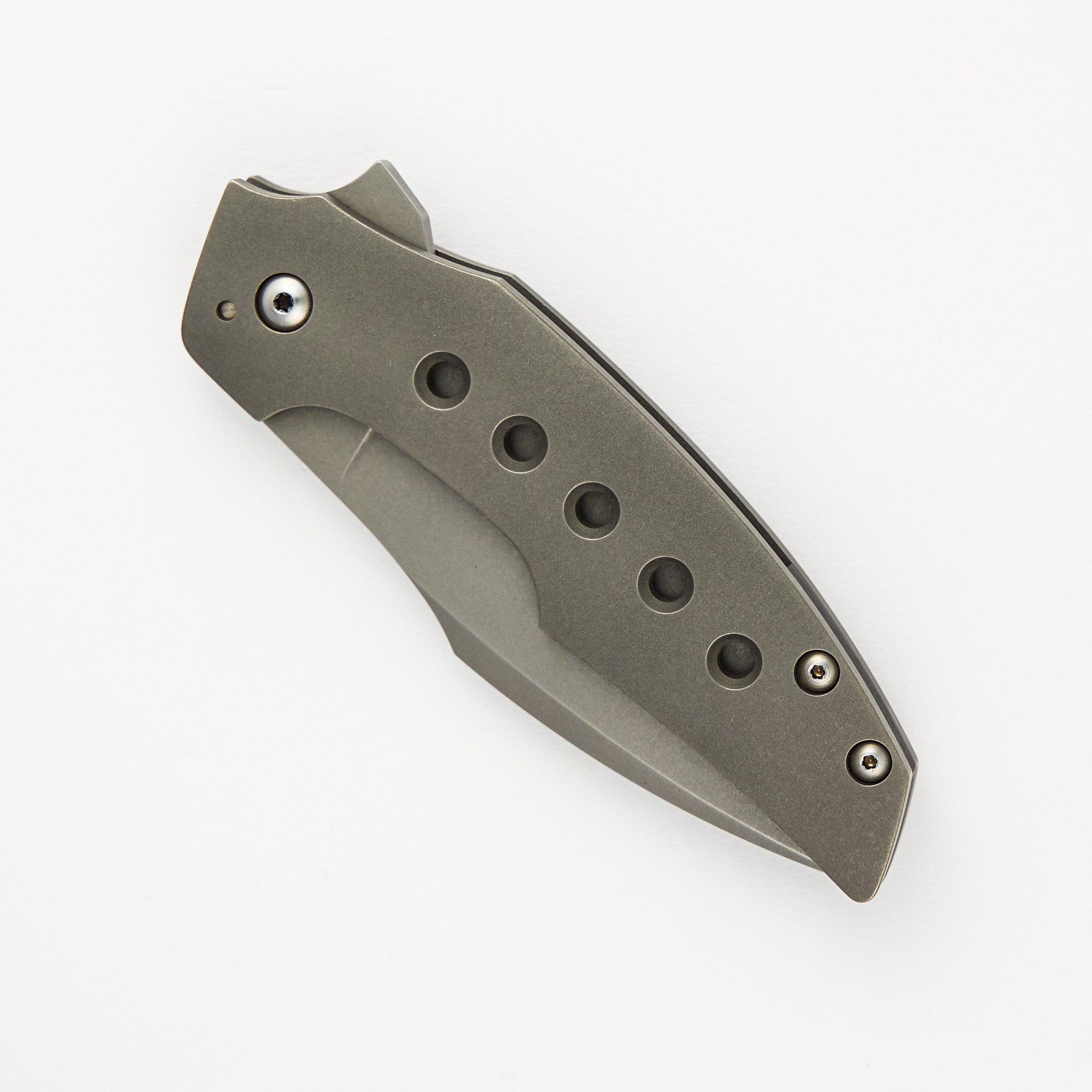 Ray Laconico / Tashi Bharucha Design Collaboration Raider