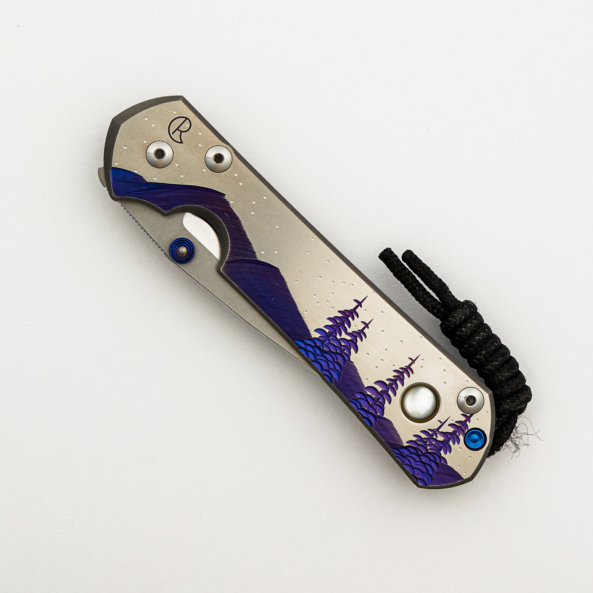 Large Sebenza 31 Unique Graphic - Polished Drop Point CPM S45VN Blade - Blue Single Lug