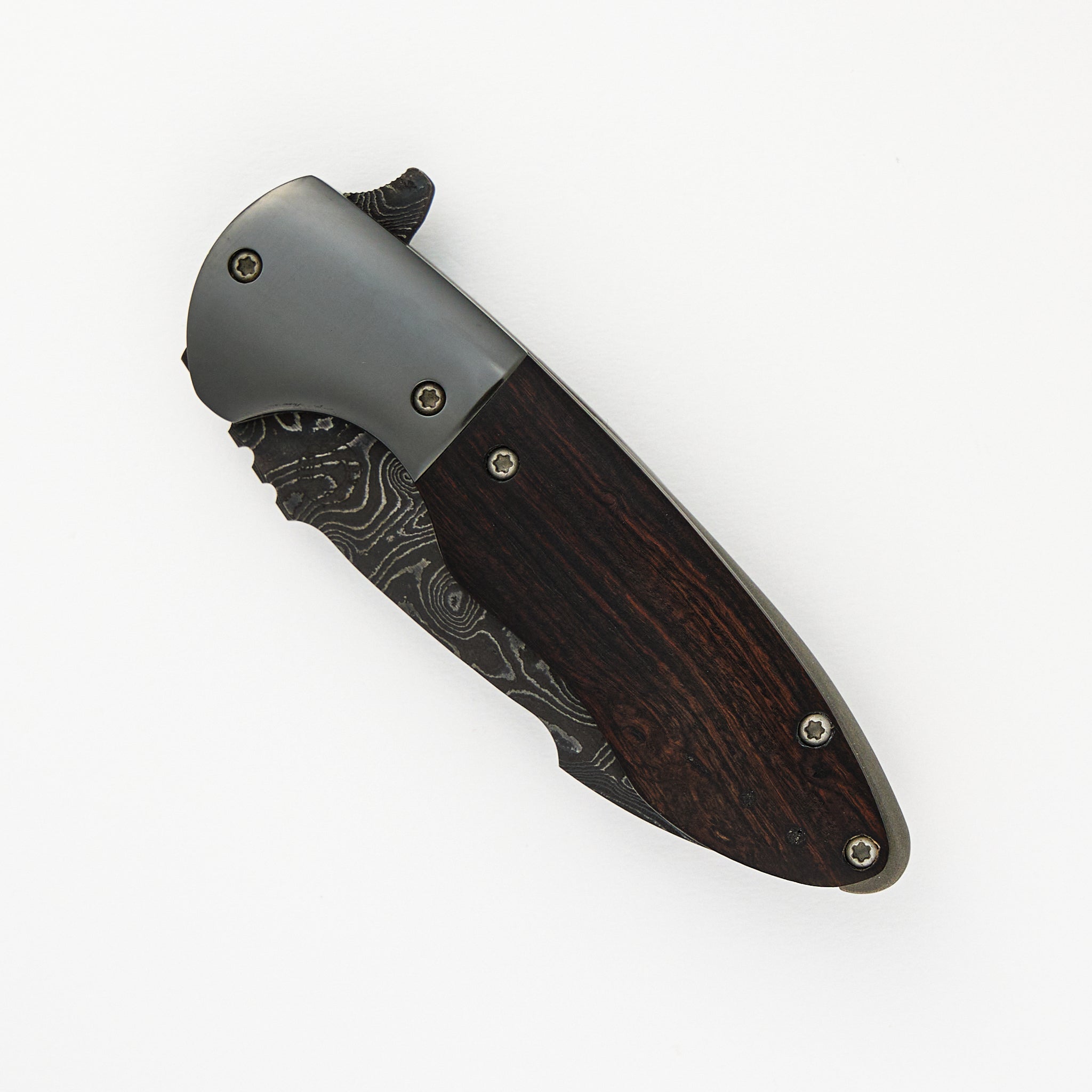 Curtiss Knives Cruze Evo