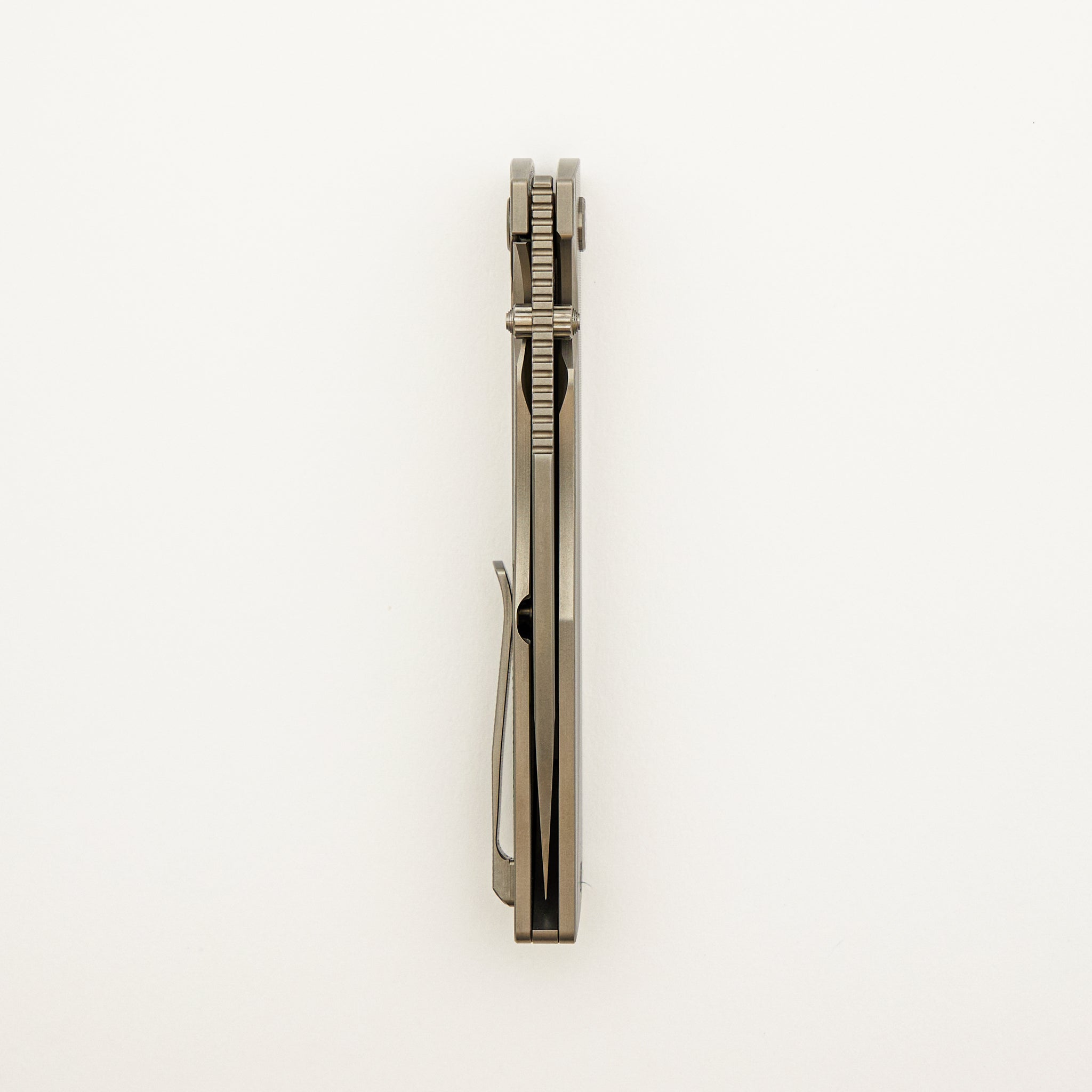 Hemlock #094