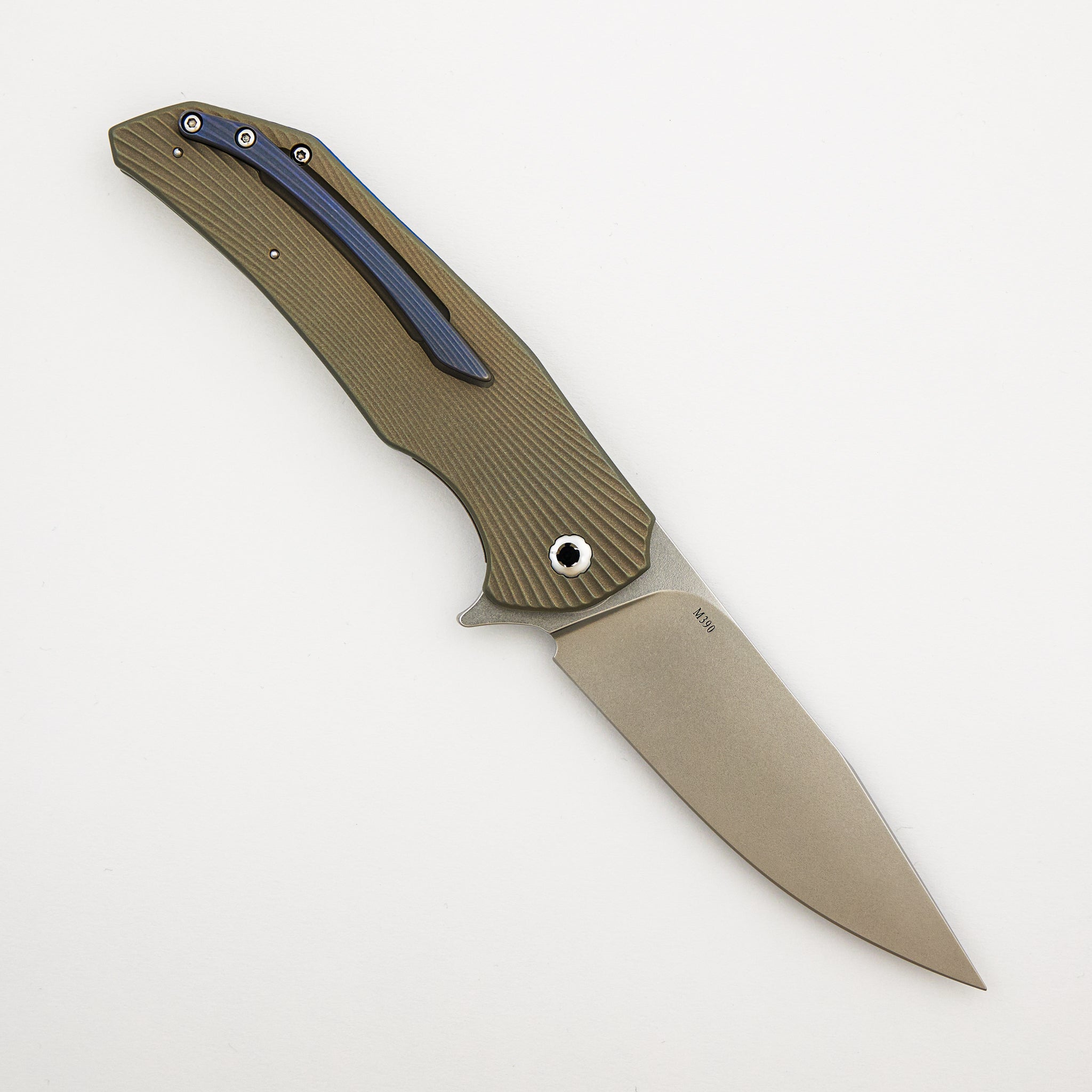 Folder Dragonfly #0437
