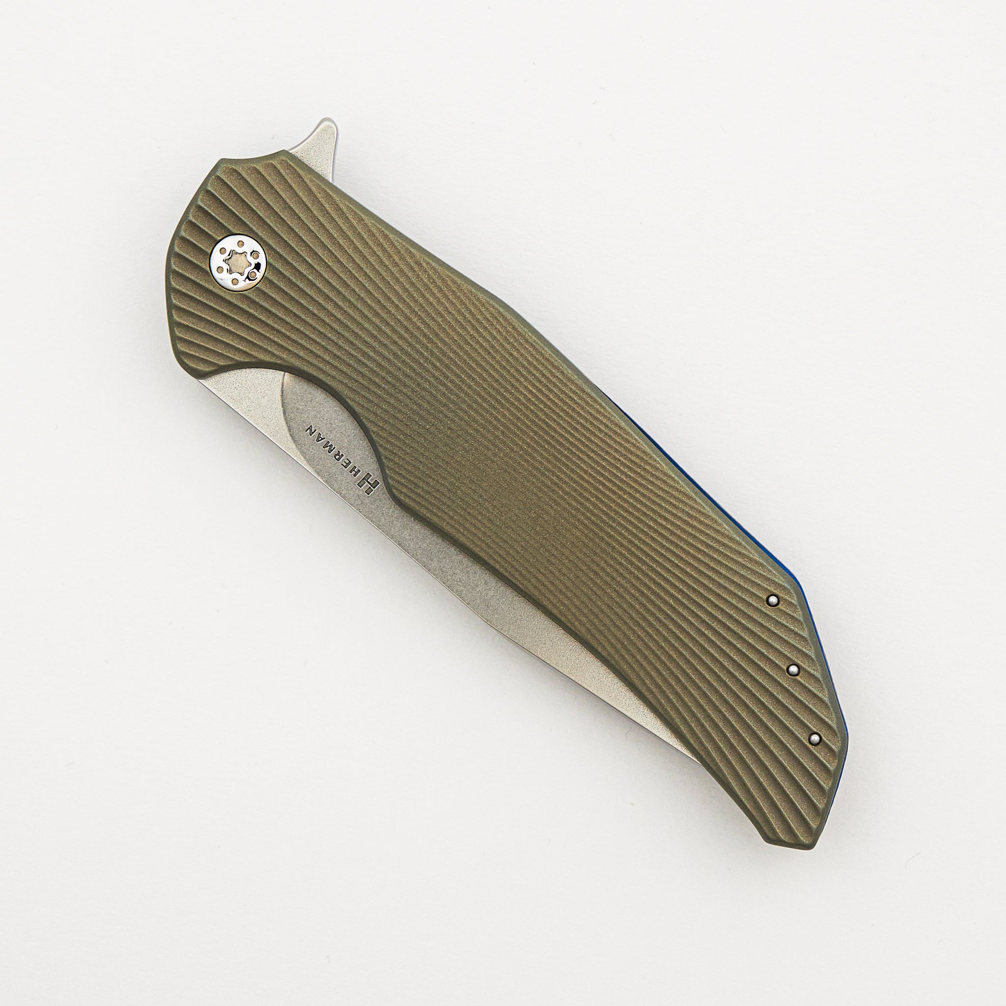 Folder Dragonfly #0437
