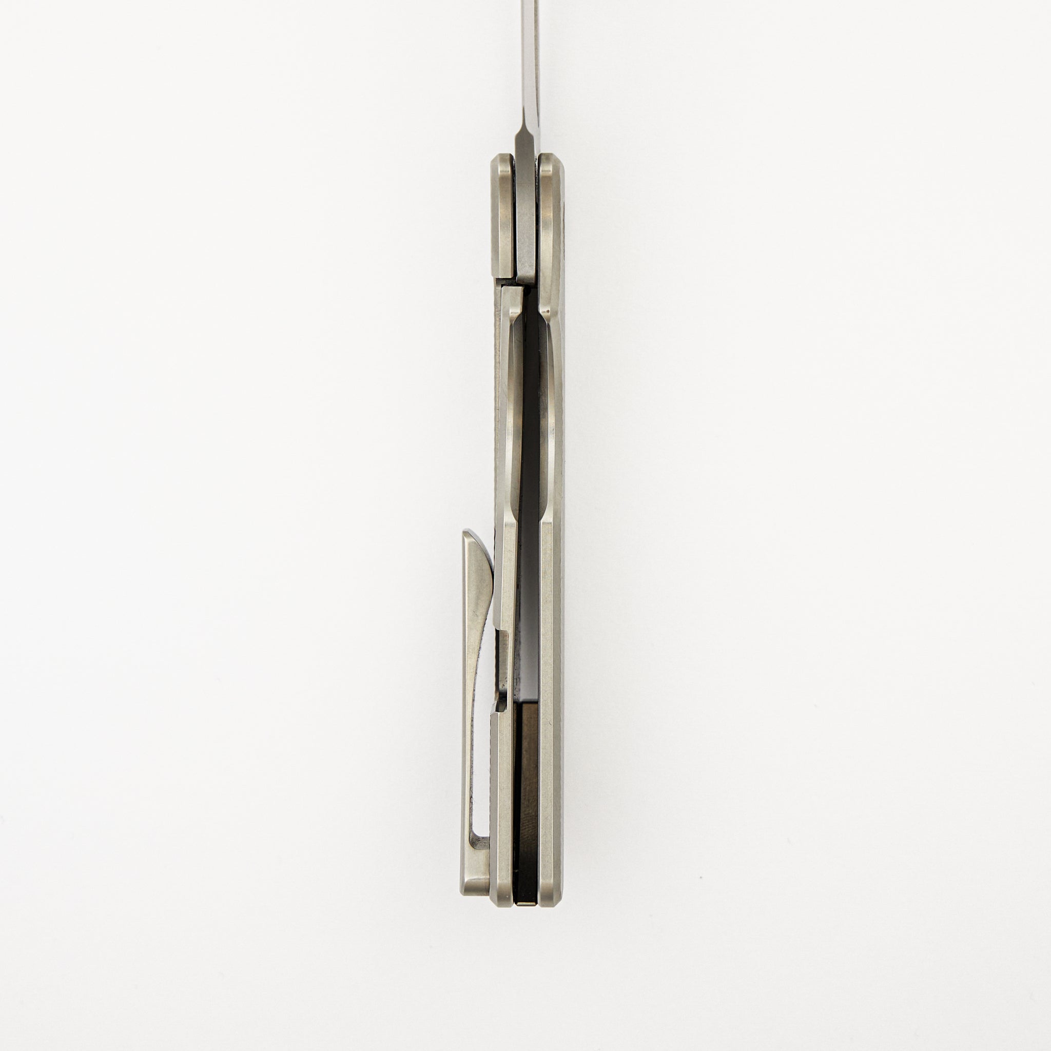 Roosevelt XL #0019