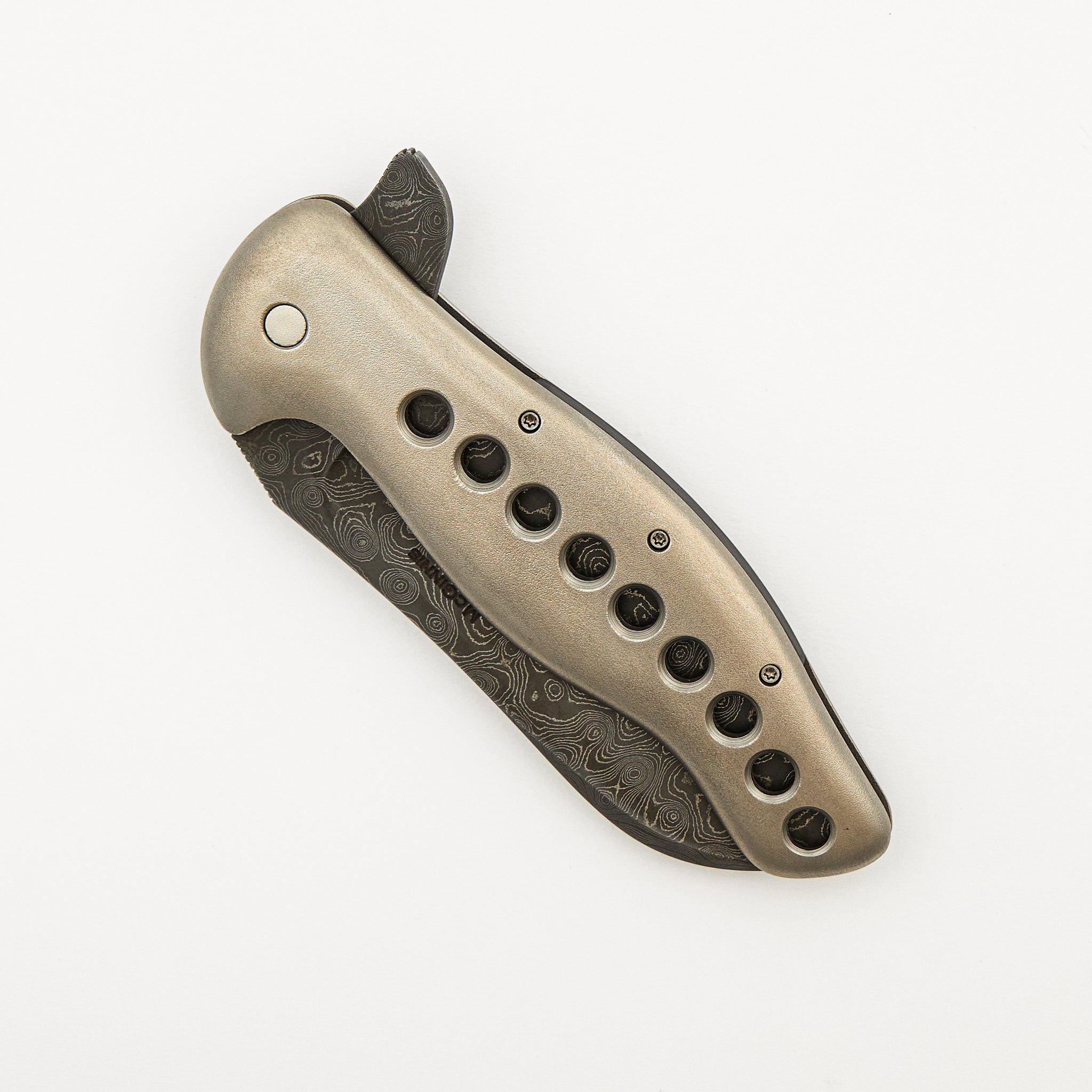 Vicarious Prototype