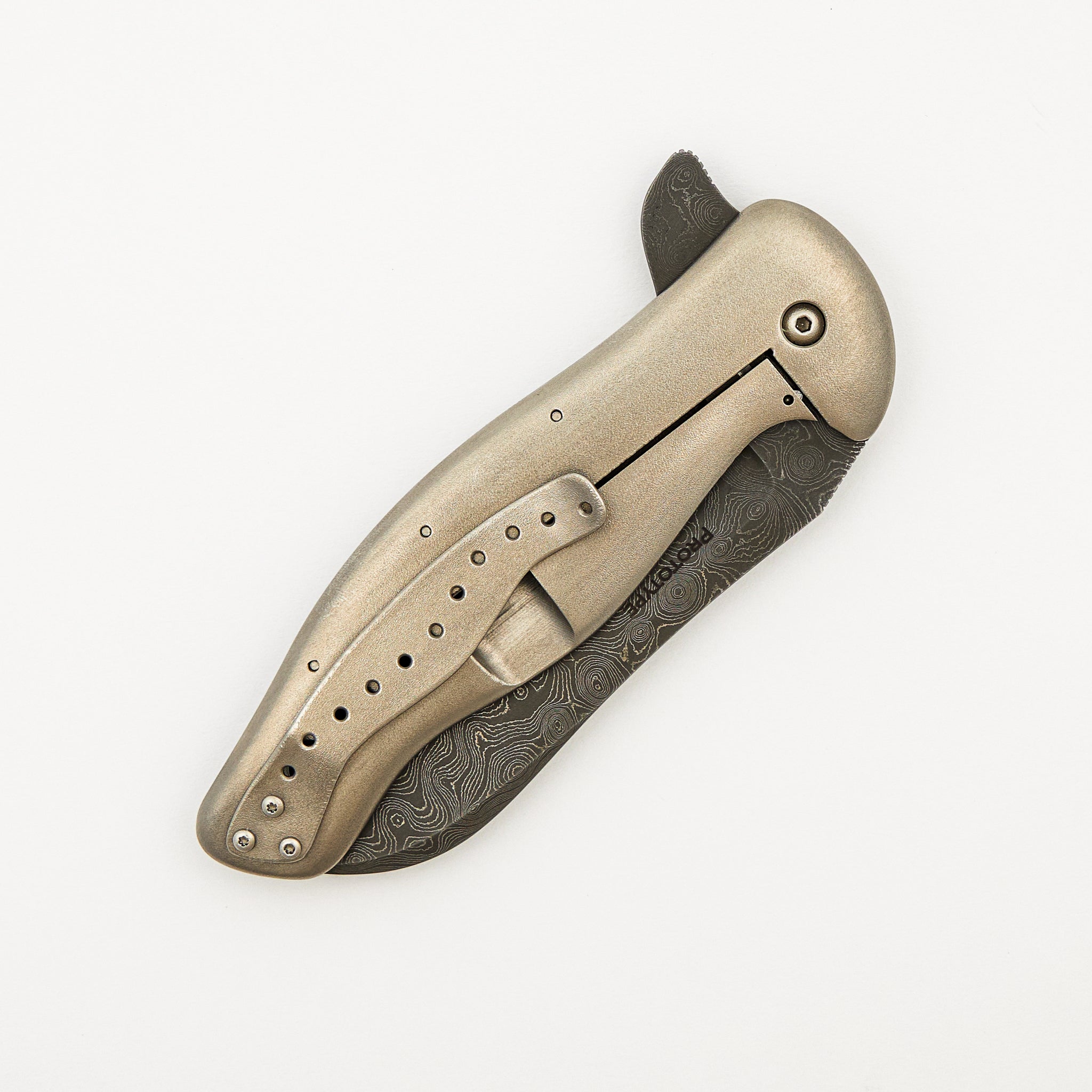 Vicarious Prototype