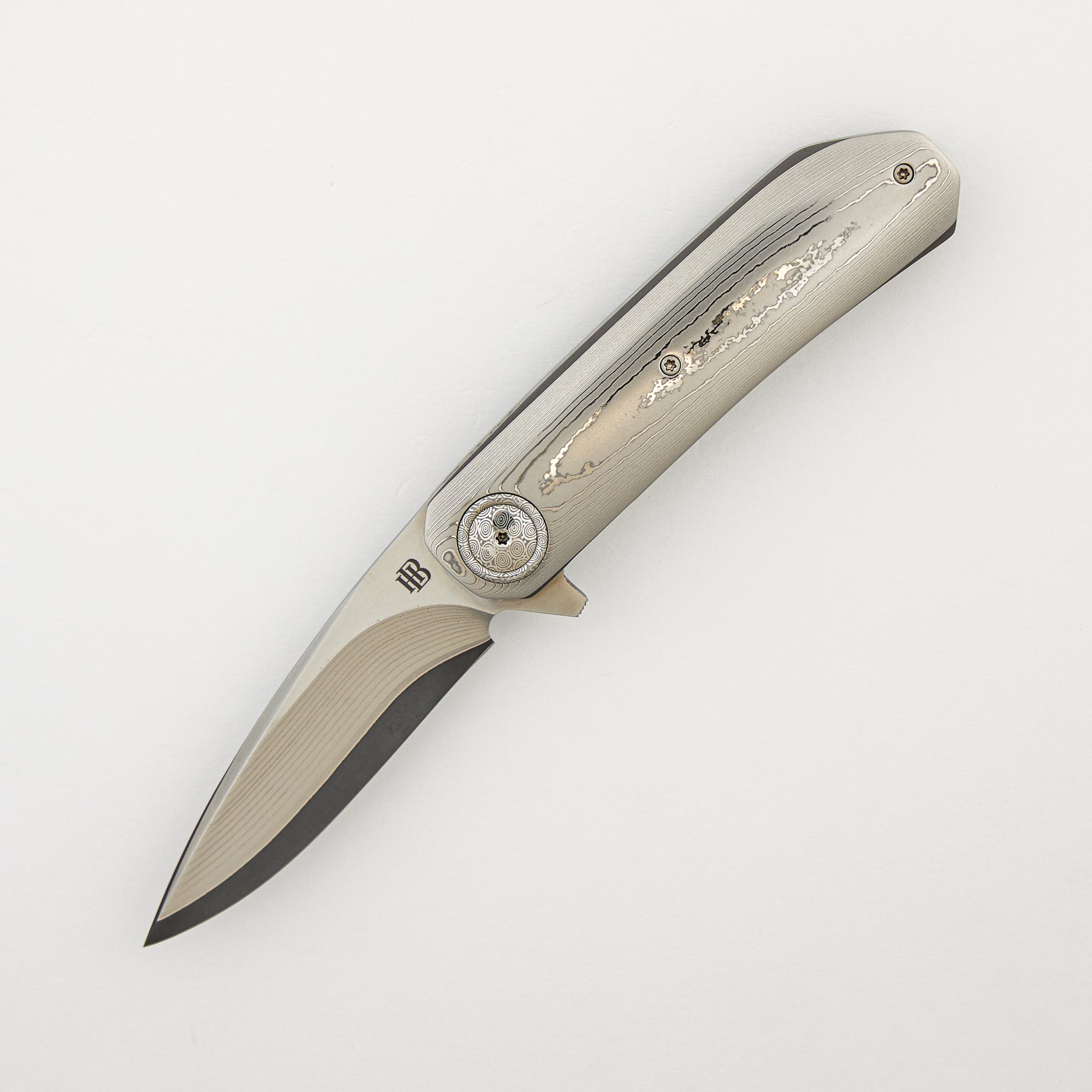 HB12 Kgaho - Vervet Monkey