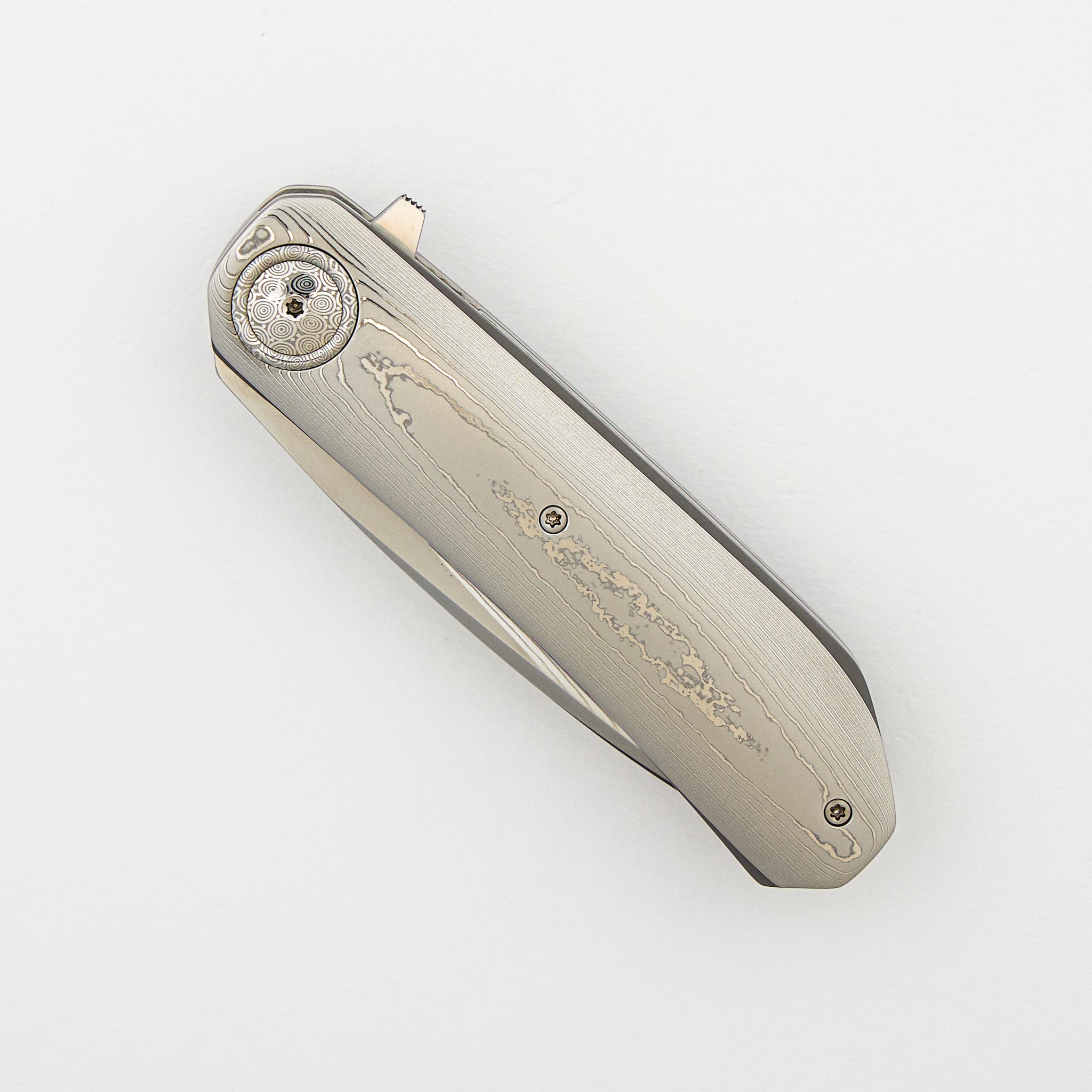 HB12 Kgaho - Vervet Monkey