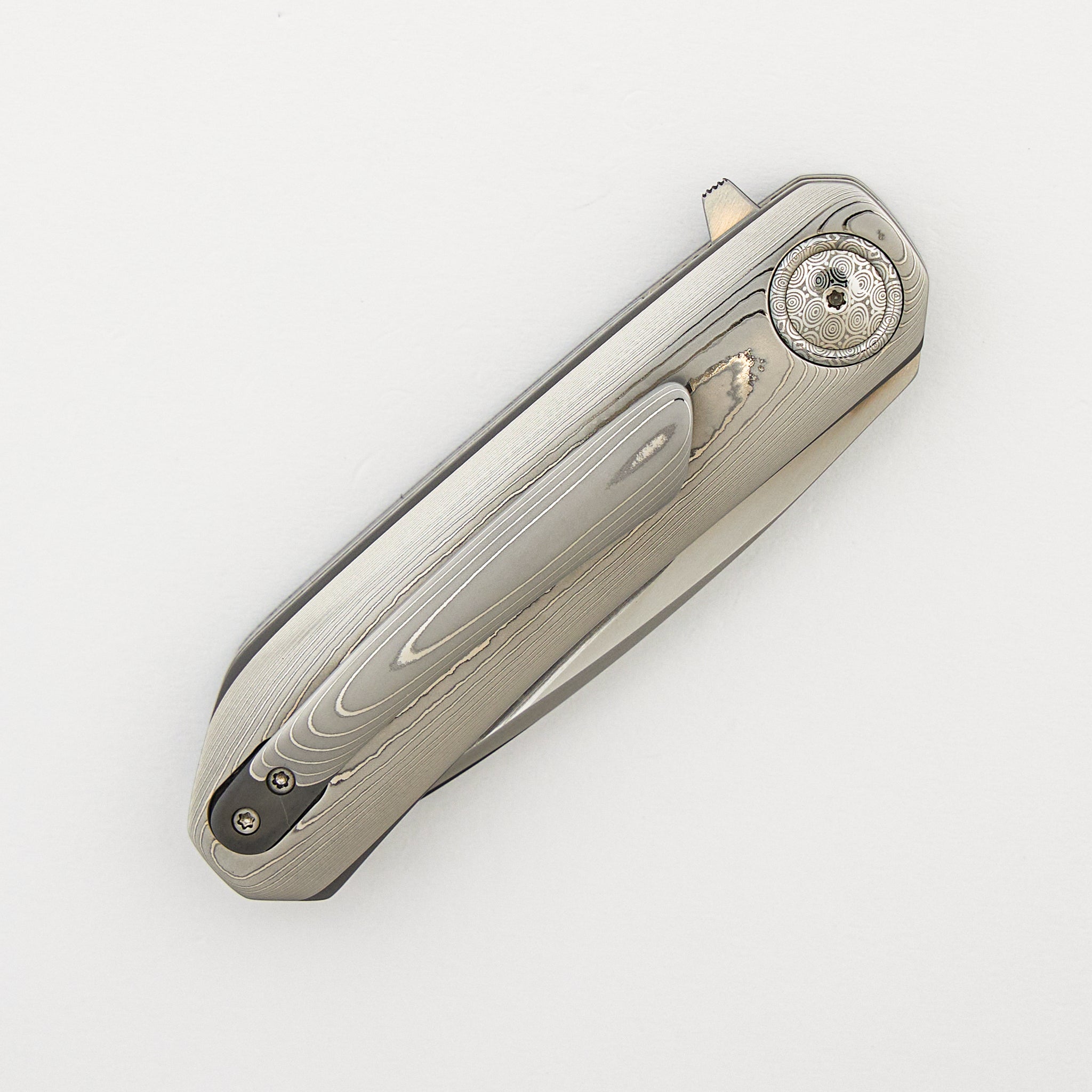 HB12 Kgaho - Vervet Monkey