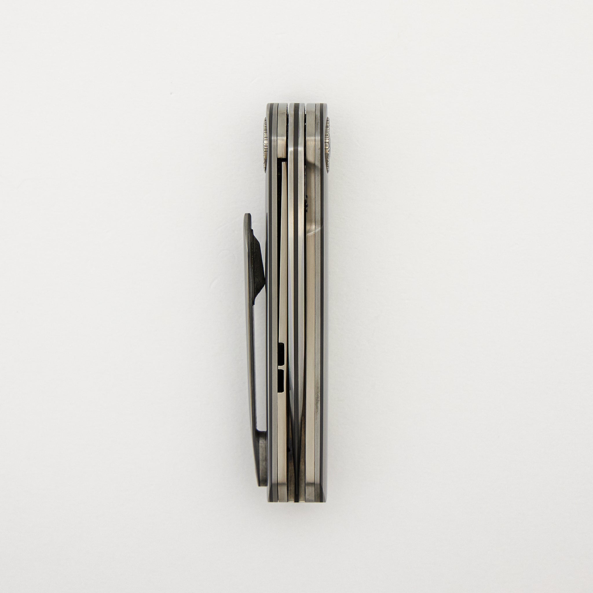 HB12 Kgaho - Vervet Monkey