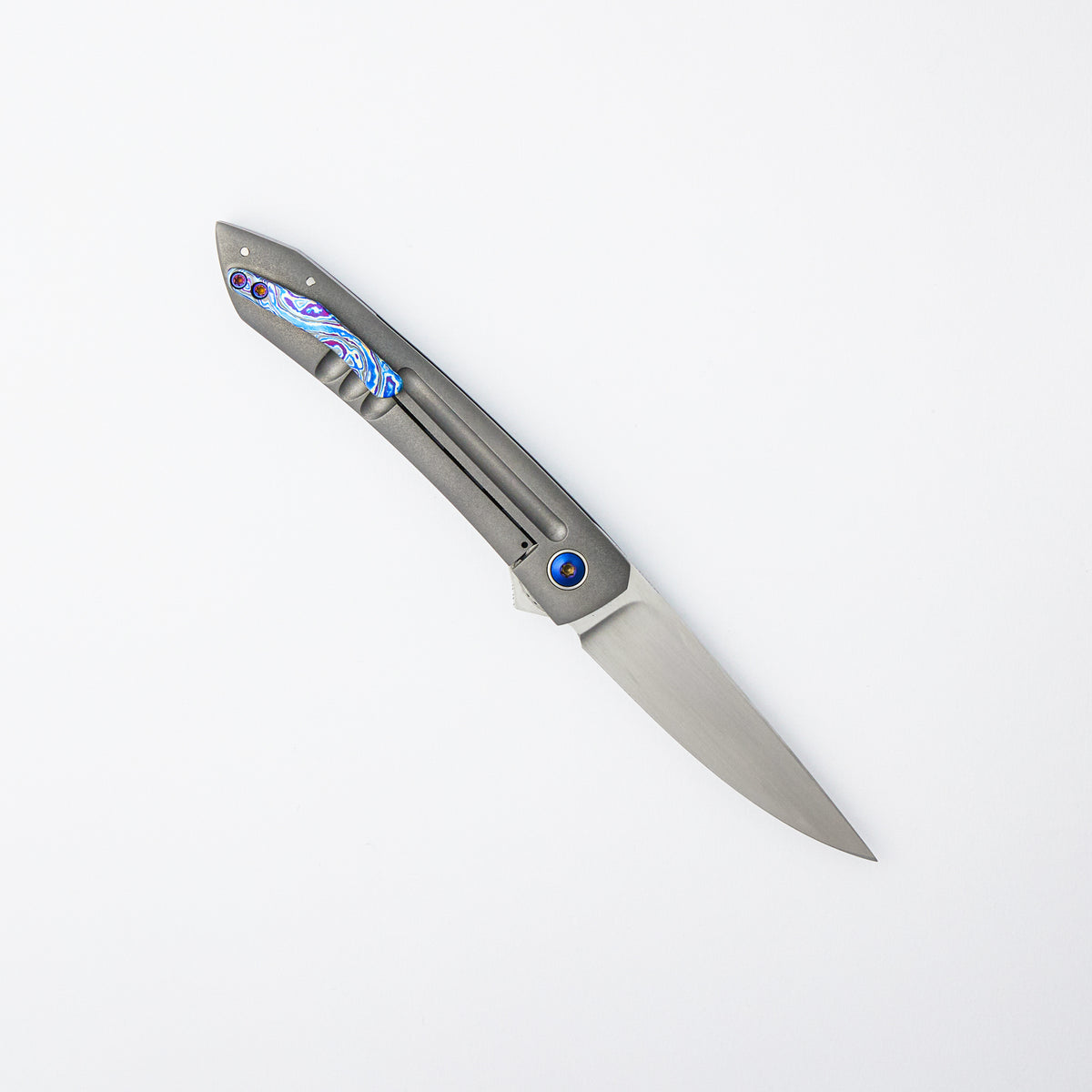 Anchovy