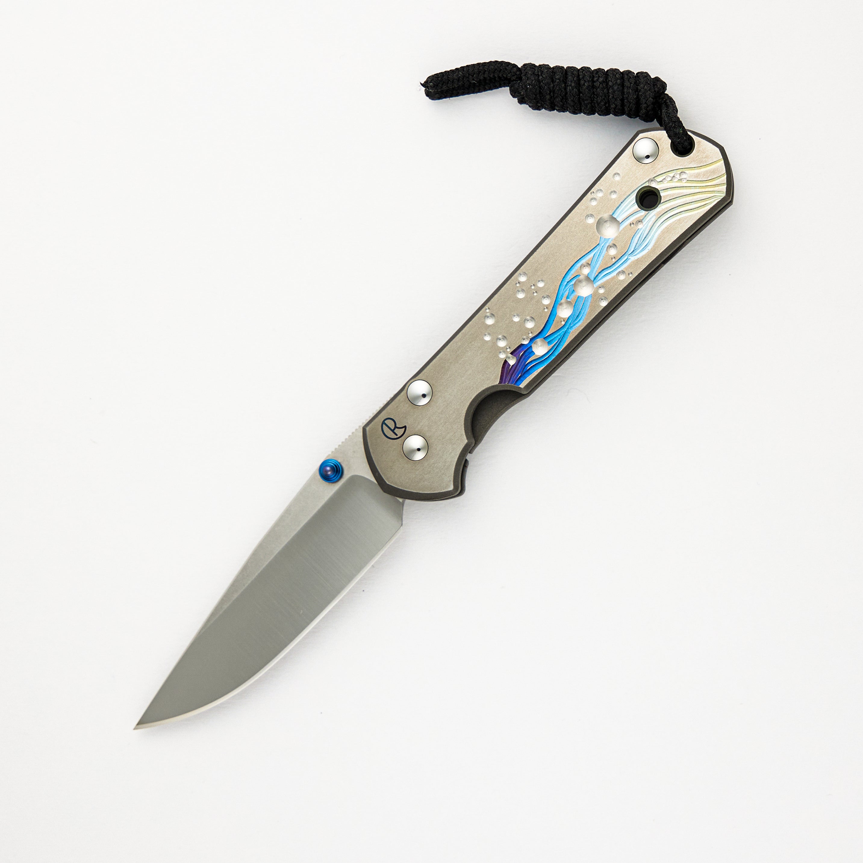 Chris Reeve Small Sebenza 21 CGG "Seagrass" S30V Blade