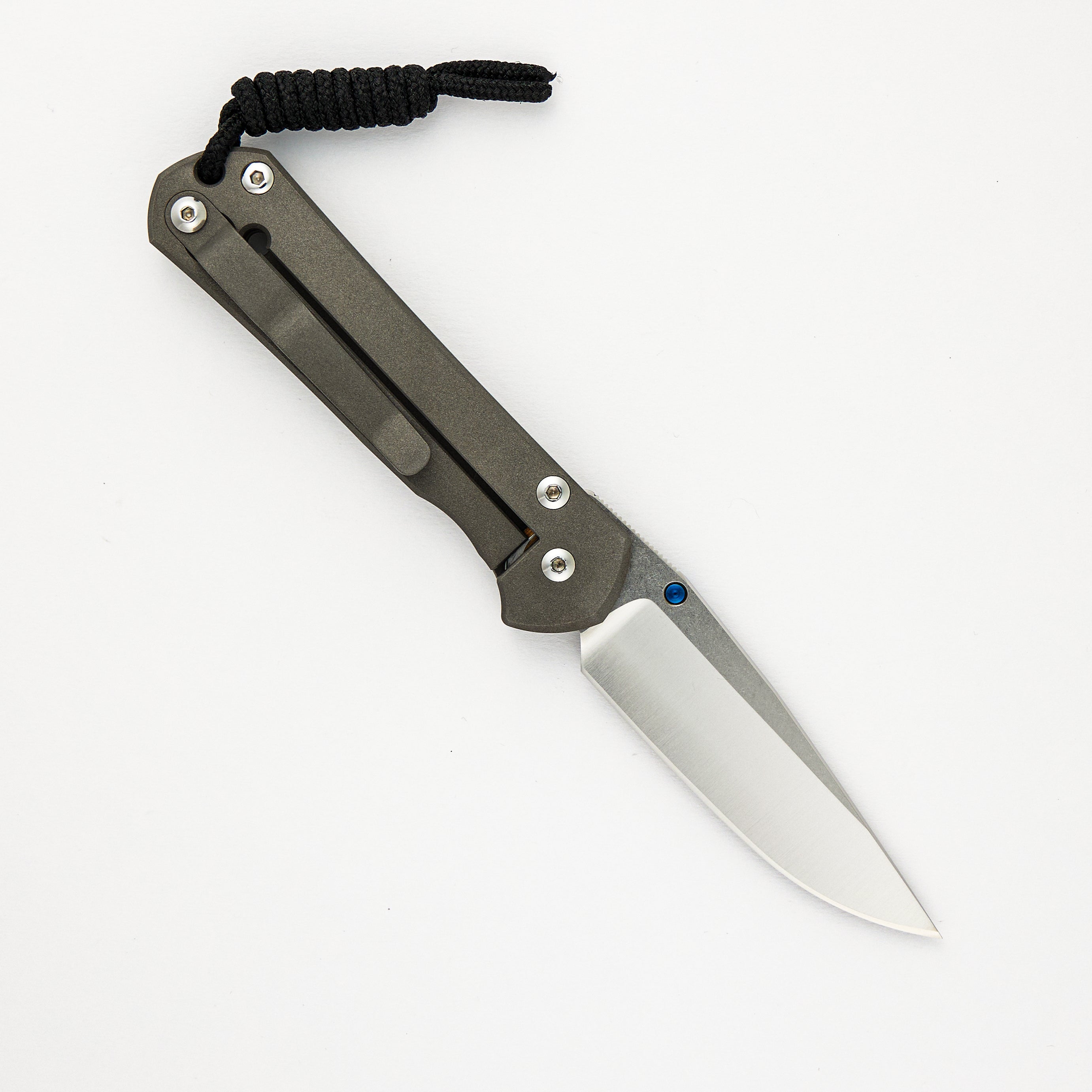 Chris Reeve Small Sebenza 21 CGG "Seagrass" S30V Blade