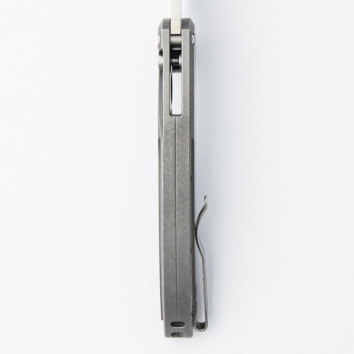 Cambria (Variant 1) - SRP Sako