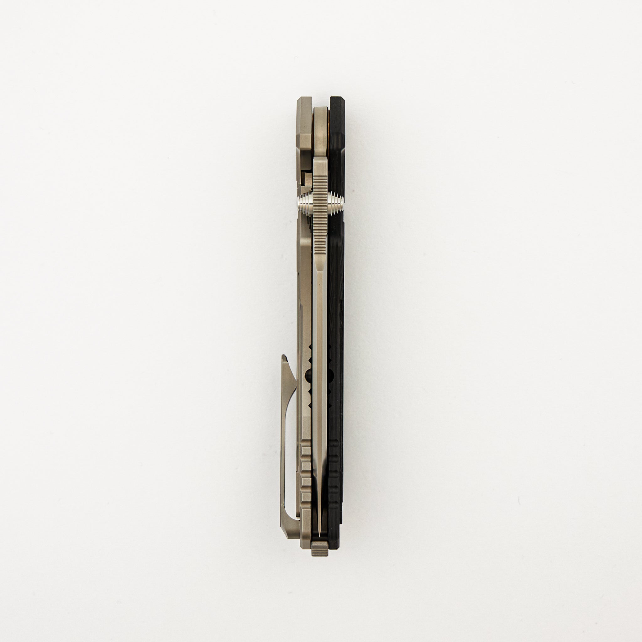 REN-ZDP (Clad)
