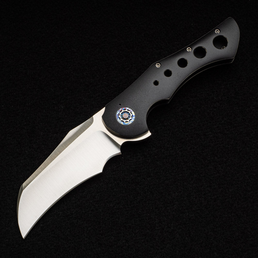 Frank Fischer - Robert Carter Collaboration Talon V2