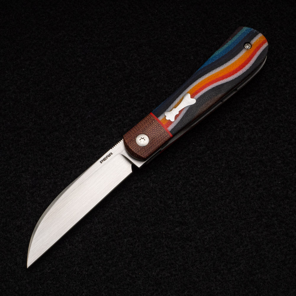 Enrique Pena Swayback Front Flipper