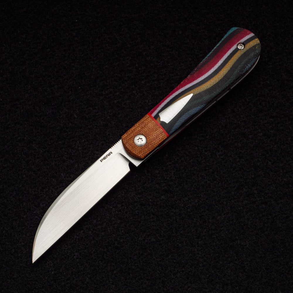 Enrique Pena Swayback Front Flipper