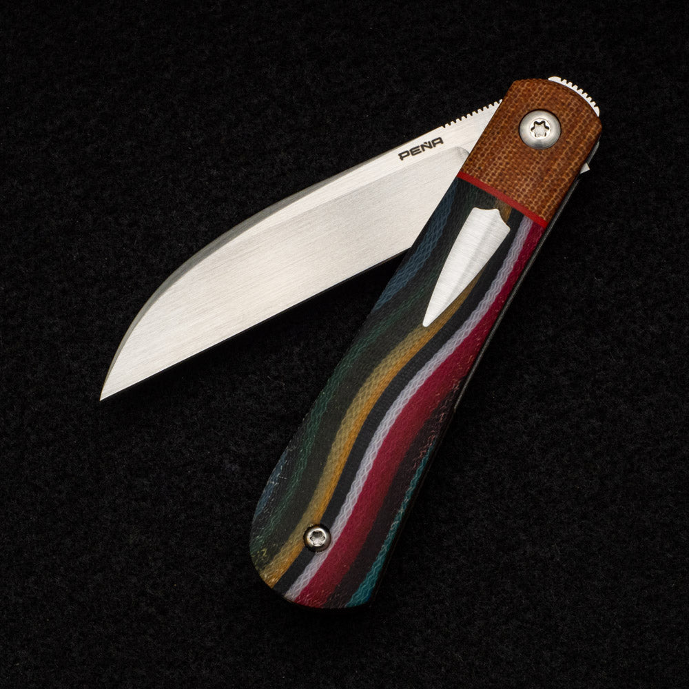 Enrique Pena Swayback Front Flipper