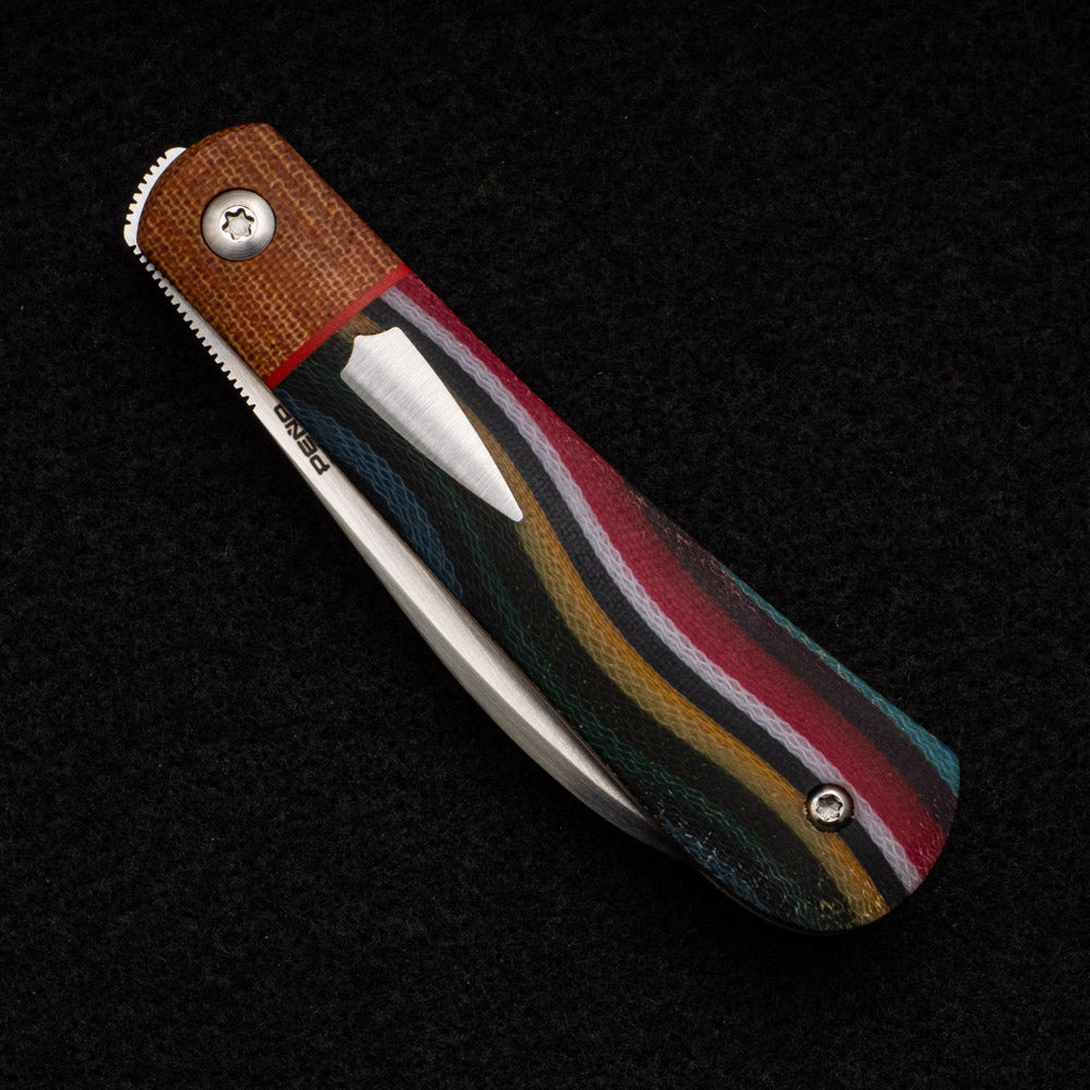 Enrique Pena Swayback Front Flipper