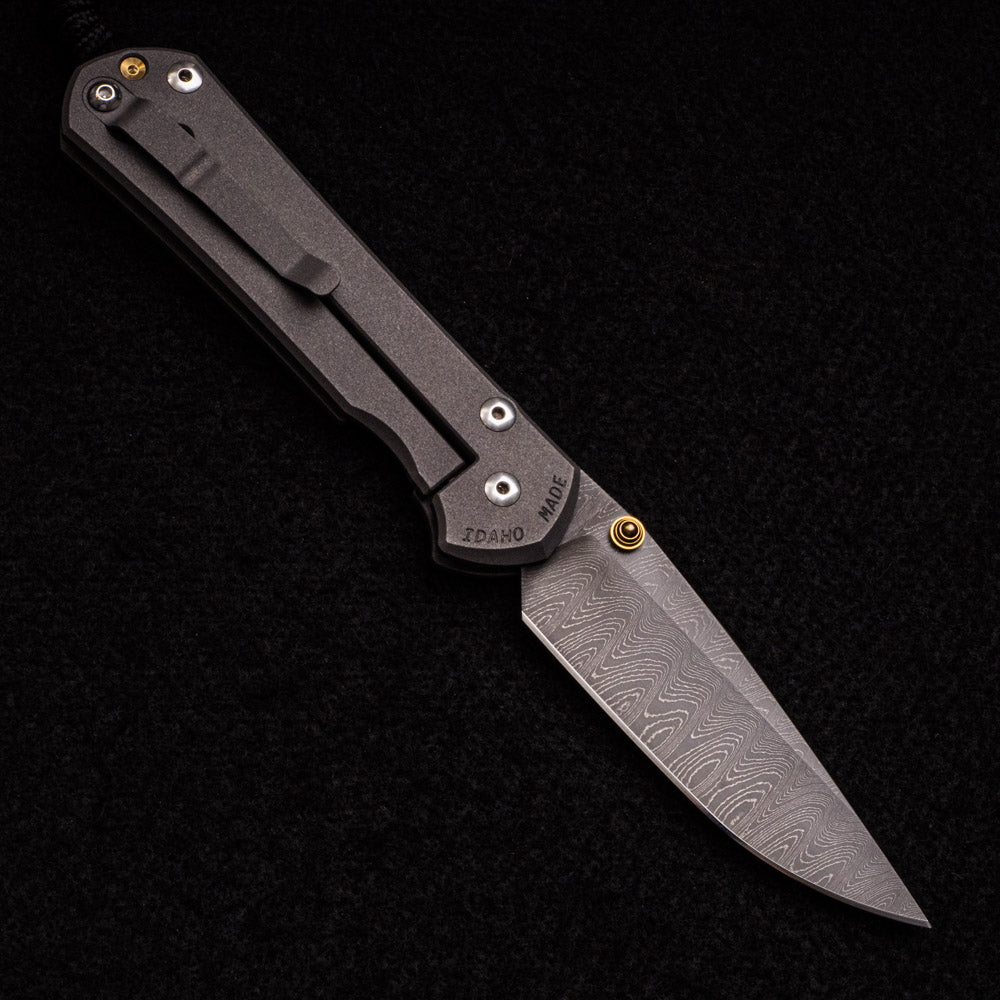 CHRIS REEVE LARGE SEBENZA 31 – GOLD THUMB LUGS – LADDER BLADE