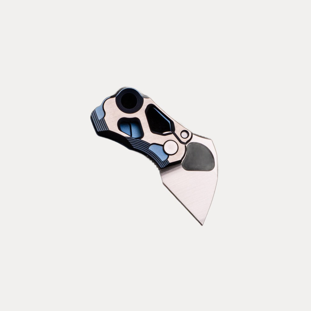 Alexey Konygin Microhierax (Pygmy Falcon) – Blue-Satin