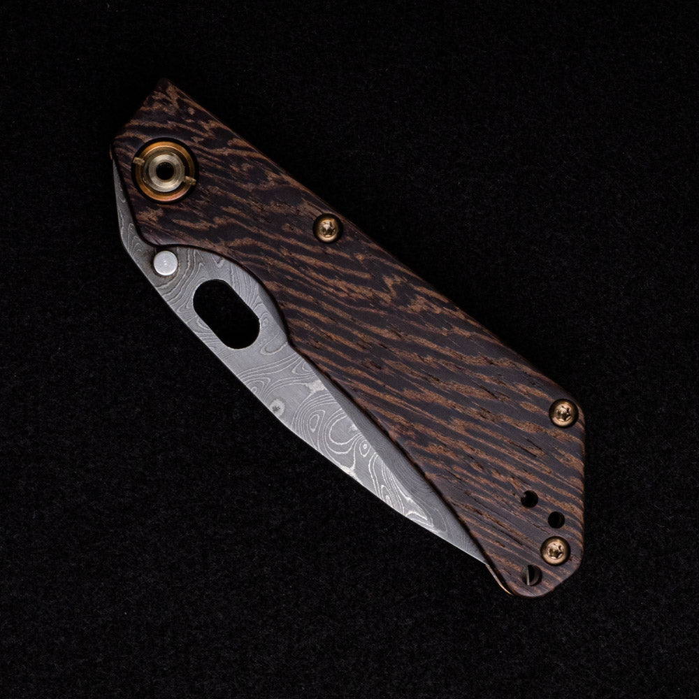 Duane Dwyer SNG