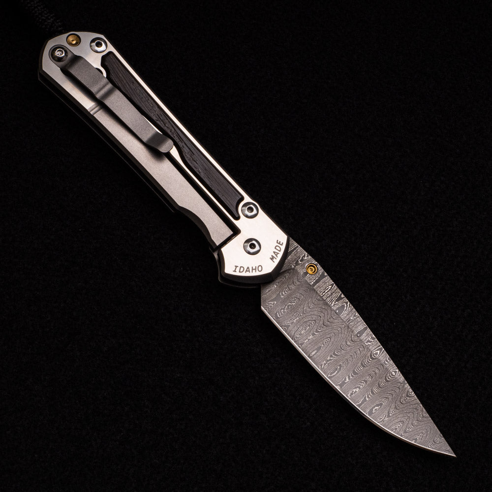 CHRIS REEVE LARGE SEBENZA 31 BOG OAK – LADDER BLADE – GOLD SINGLE THUMB LUG