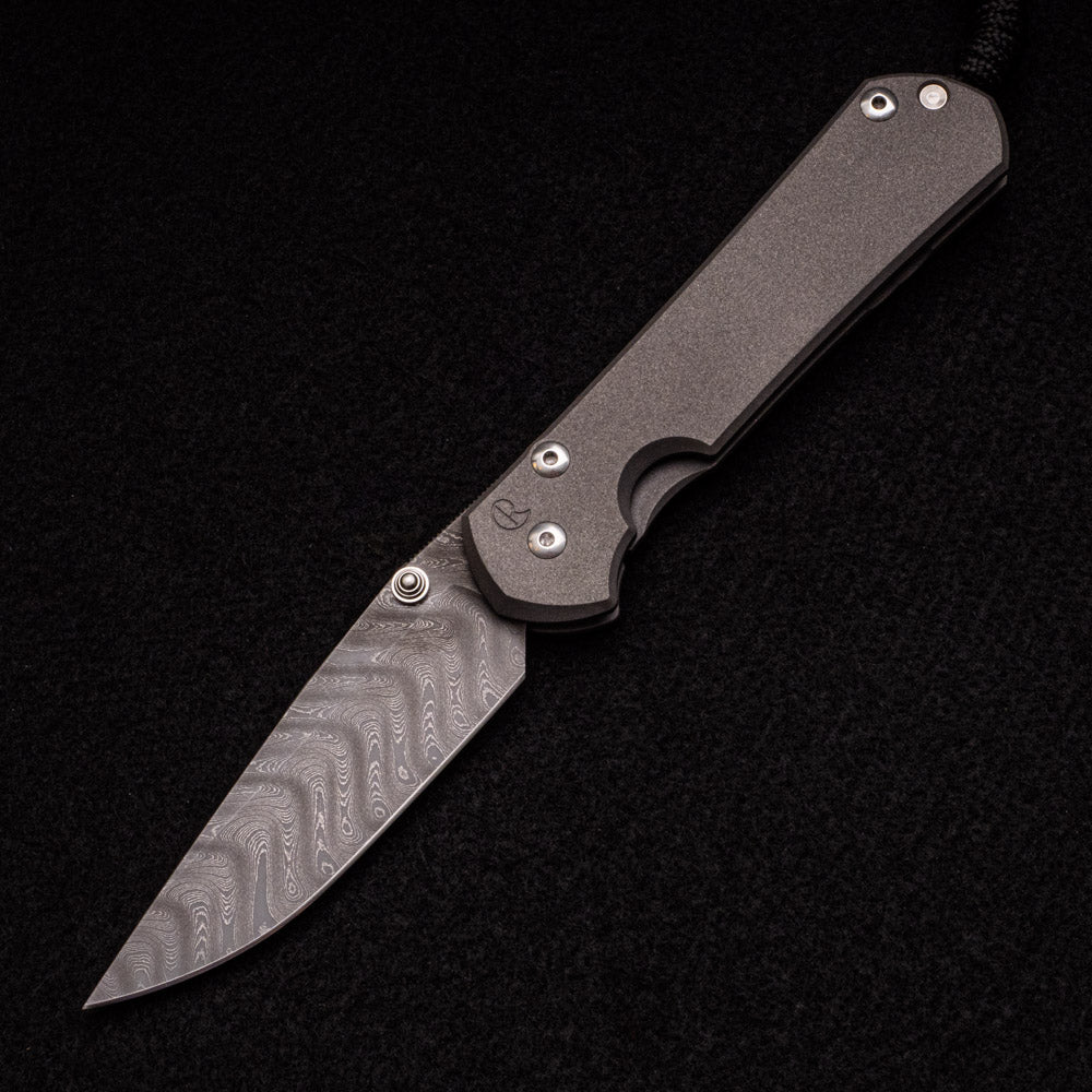 CHRIS REEVE LARGE SEBENZA 31 – SILVER DOUBLE THUMB LUGS – BOOMERANG BLADE