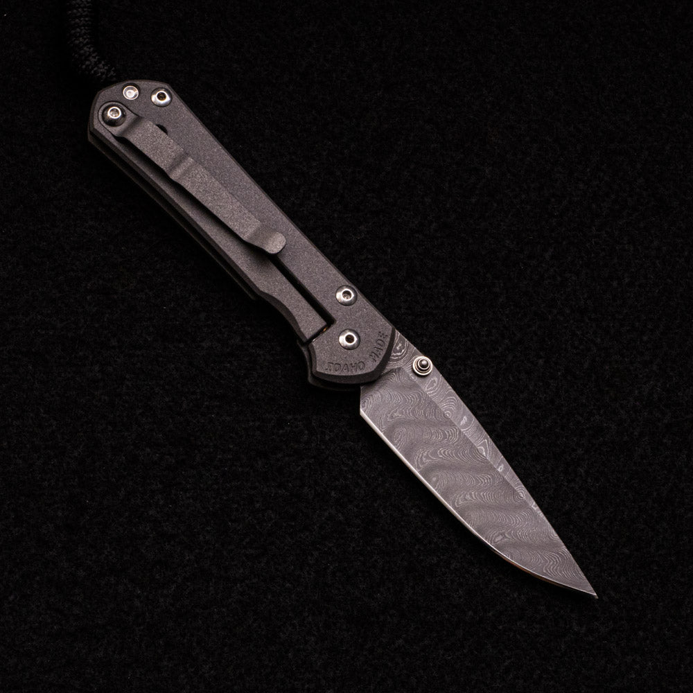 CHRIS REEVE SMALL SEBENZA 31 – SILVER DOUBLE THUMB LUGS – BOOMERANG BLADE