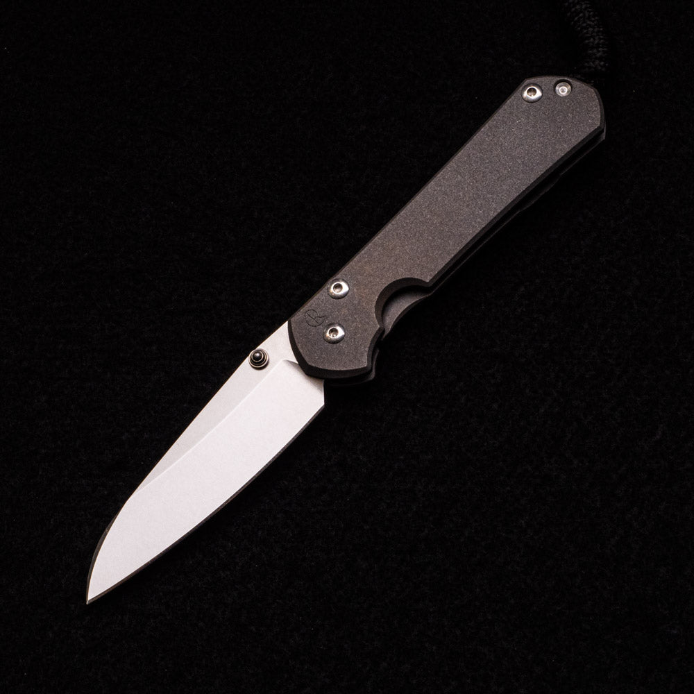 CHRIS REEVE SMALL SEBENZA 31 – SILVER DOUBLE THUMB LUGS – INSINGO CPM MAGNACUT BLADE